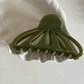 Glossy Shell Shape Claw Clips (CUHO)