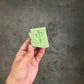 Arizona Mini Soap (Single): Cactus Flower (White + Pink)