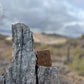 Arizona Desert Rain