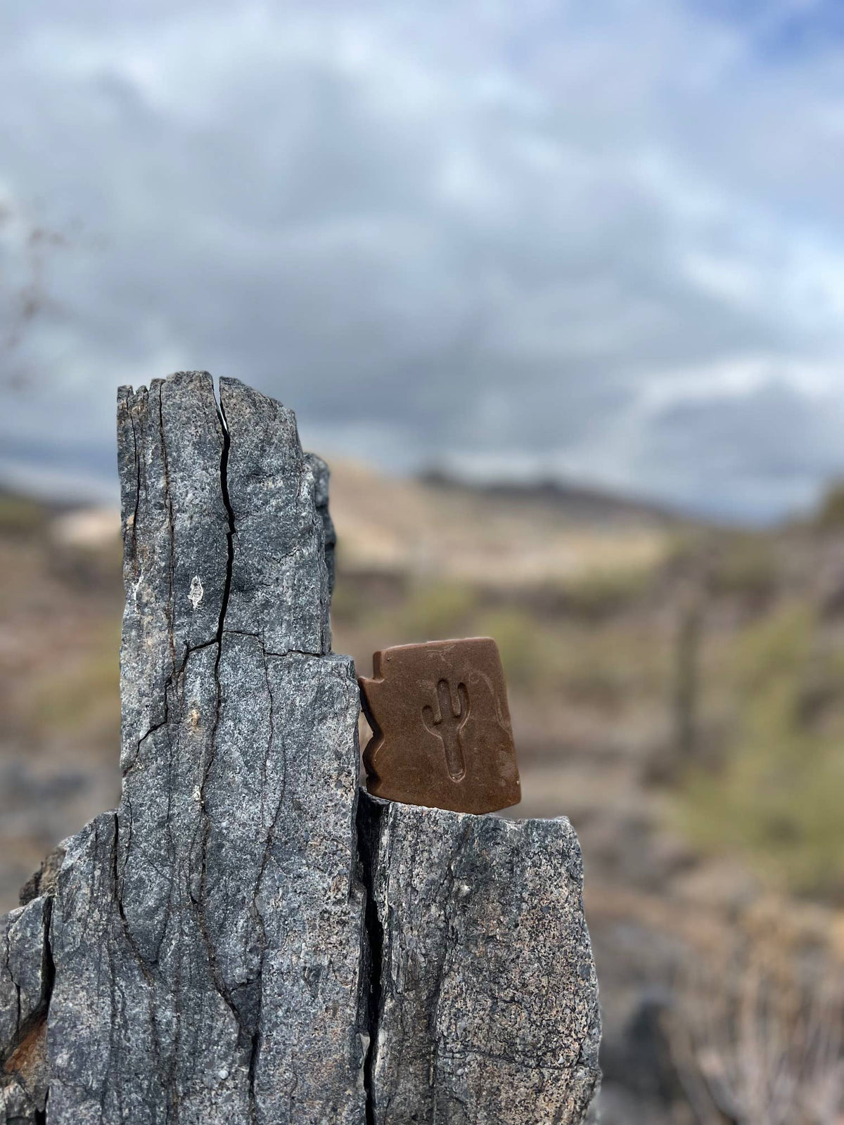 Arizona Desert Rain