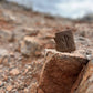 Arizona Desert Rain