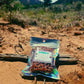 Cactus Rice Krispy Treat