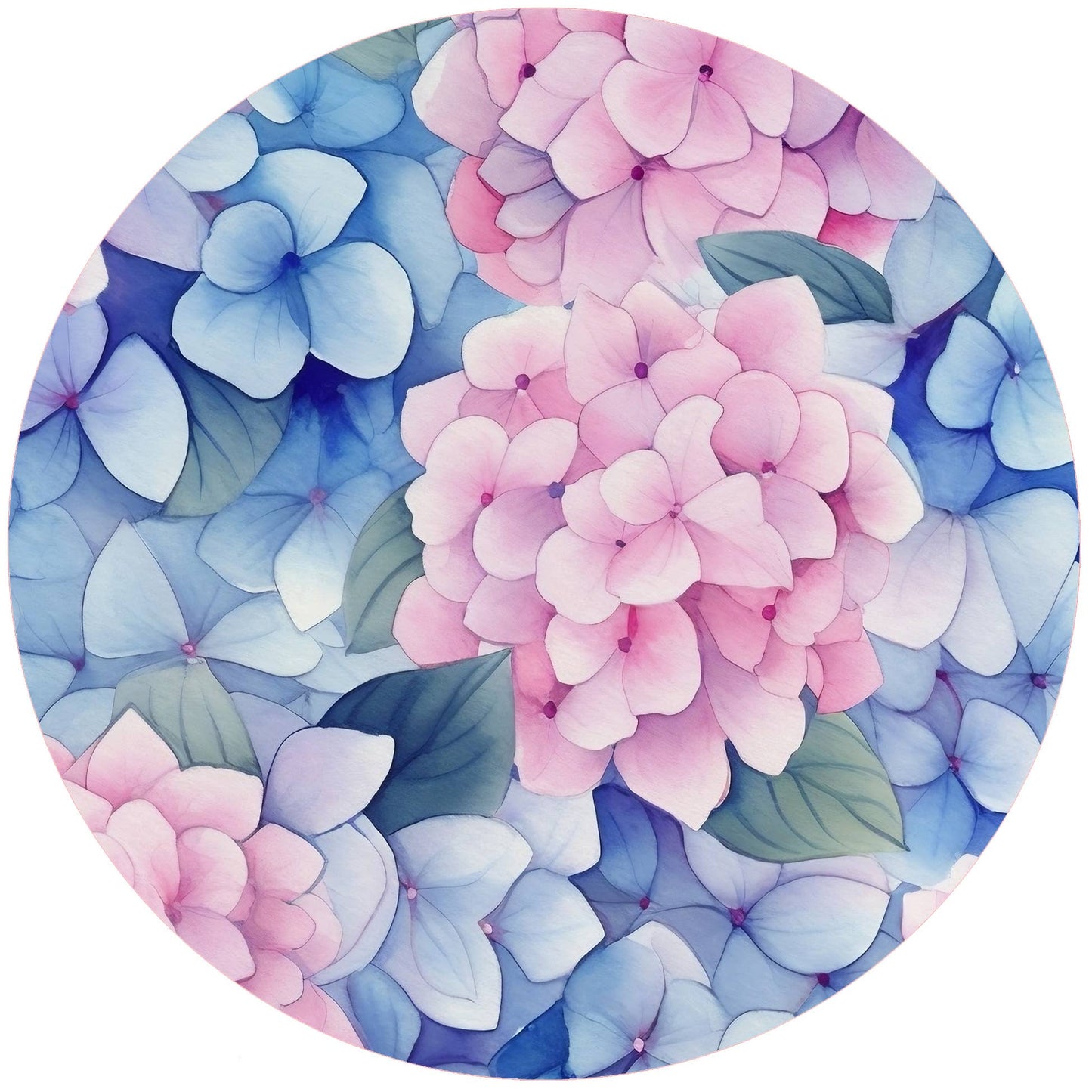 Hydrangea