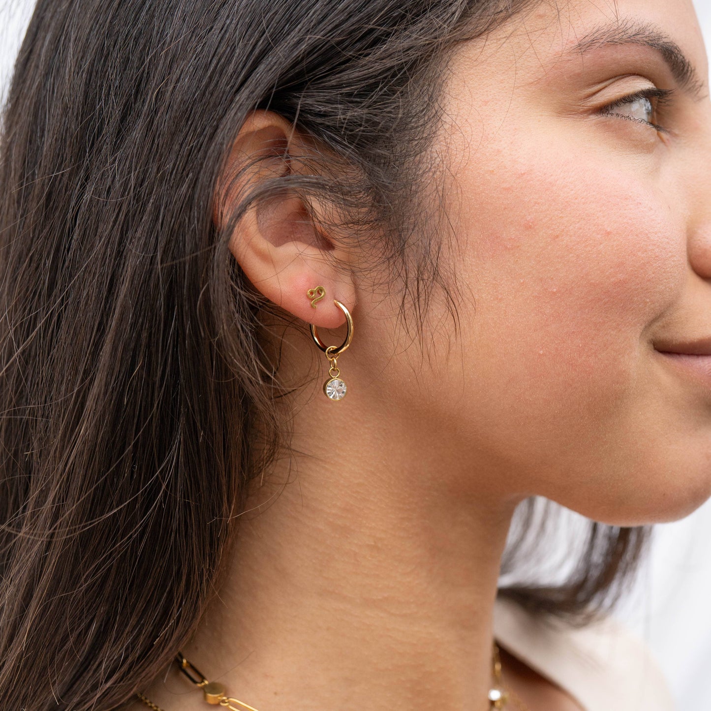 18K Gold PVD Birthstone Huggie Charm Earrings
