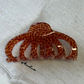 Effortless Chic Everyday Hair Clips (ARU)