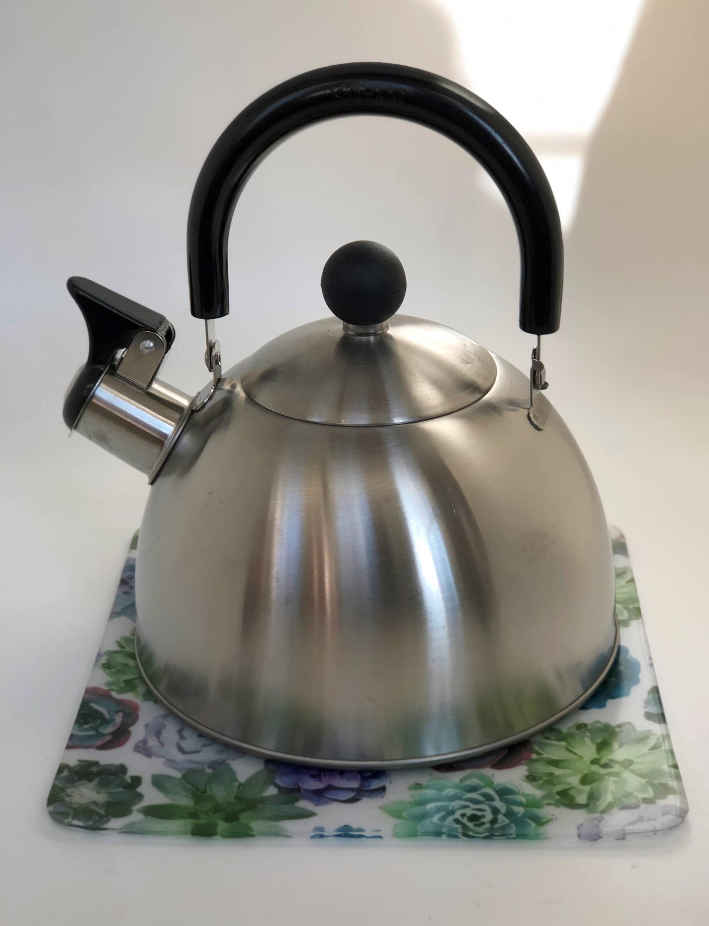 Succulant