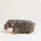 Baby Hippo Warmies