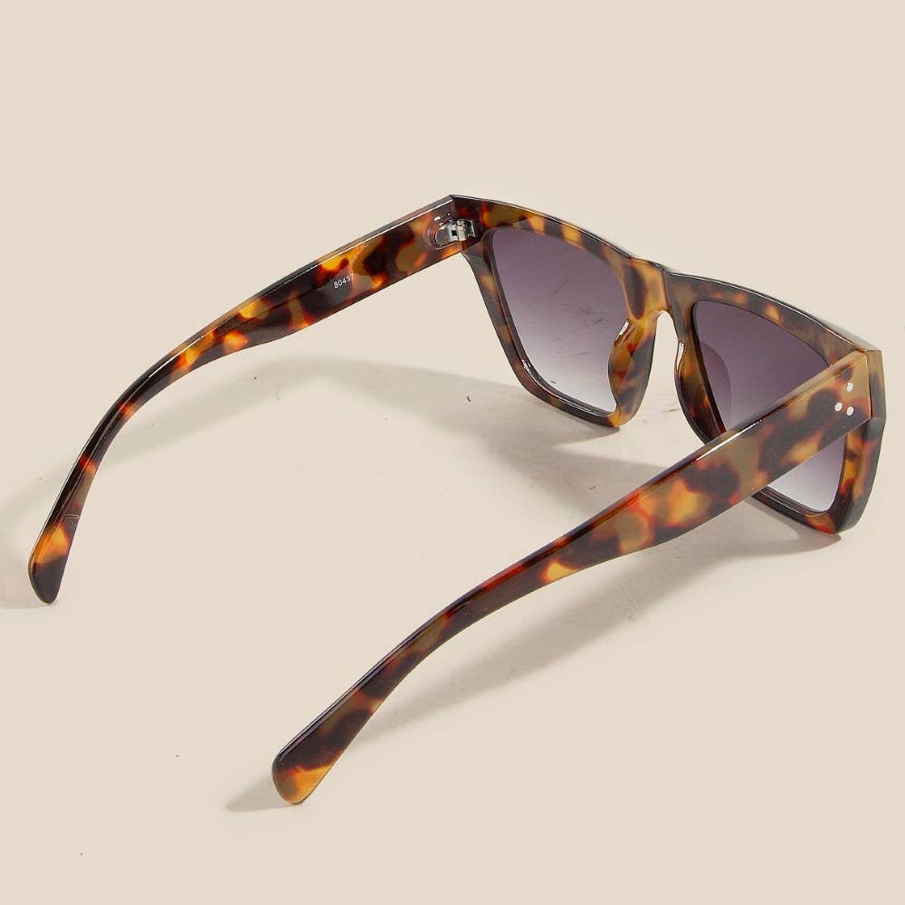 Acetate Frame Assorted Sunglasses Set