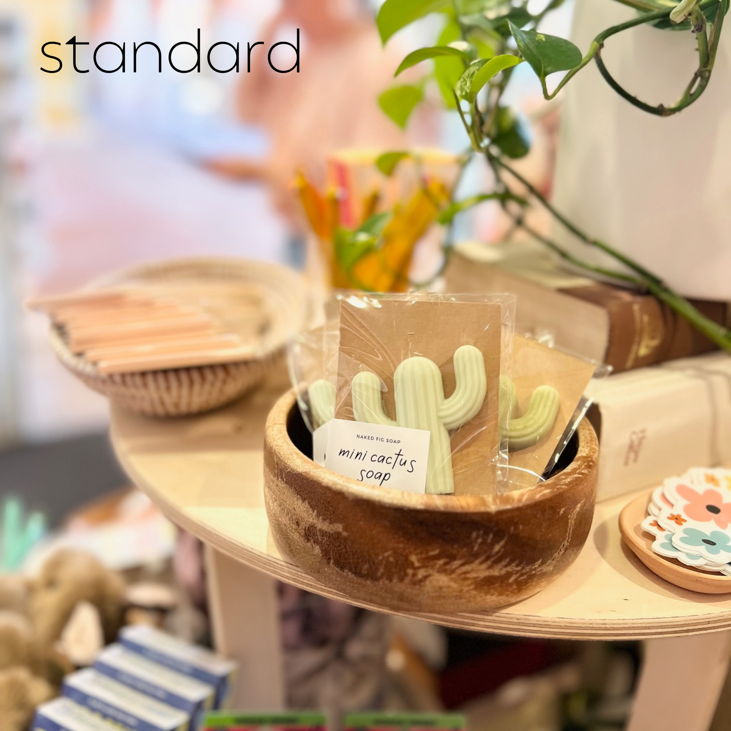 Mini Cactus Soap- Individual (single)