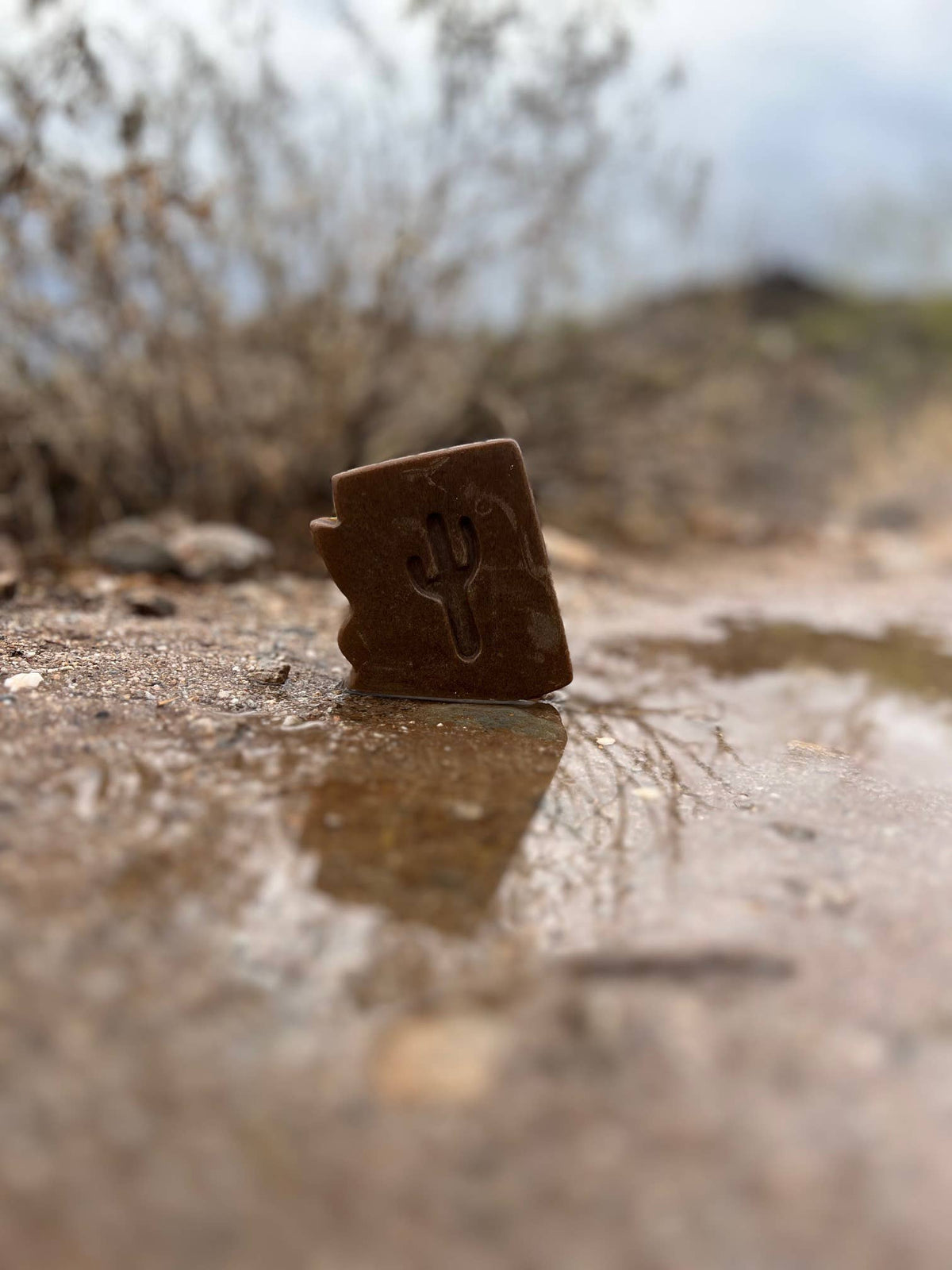 Arizona Desert Rain