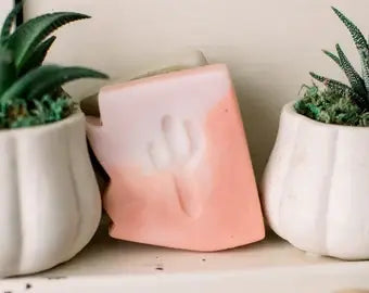 Arizona Cactus Flower