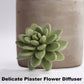 Succulent in Planter Diffuser Gift Set - Citrus Verbena