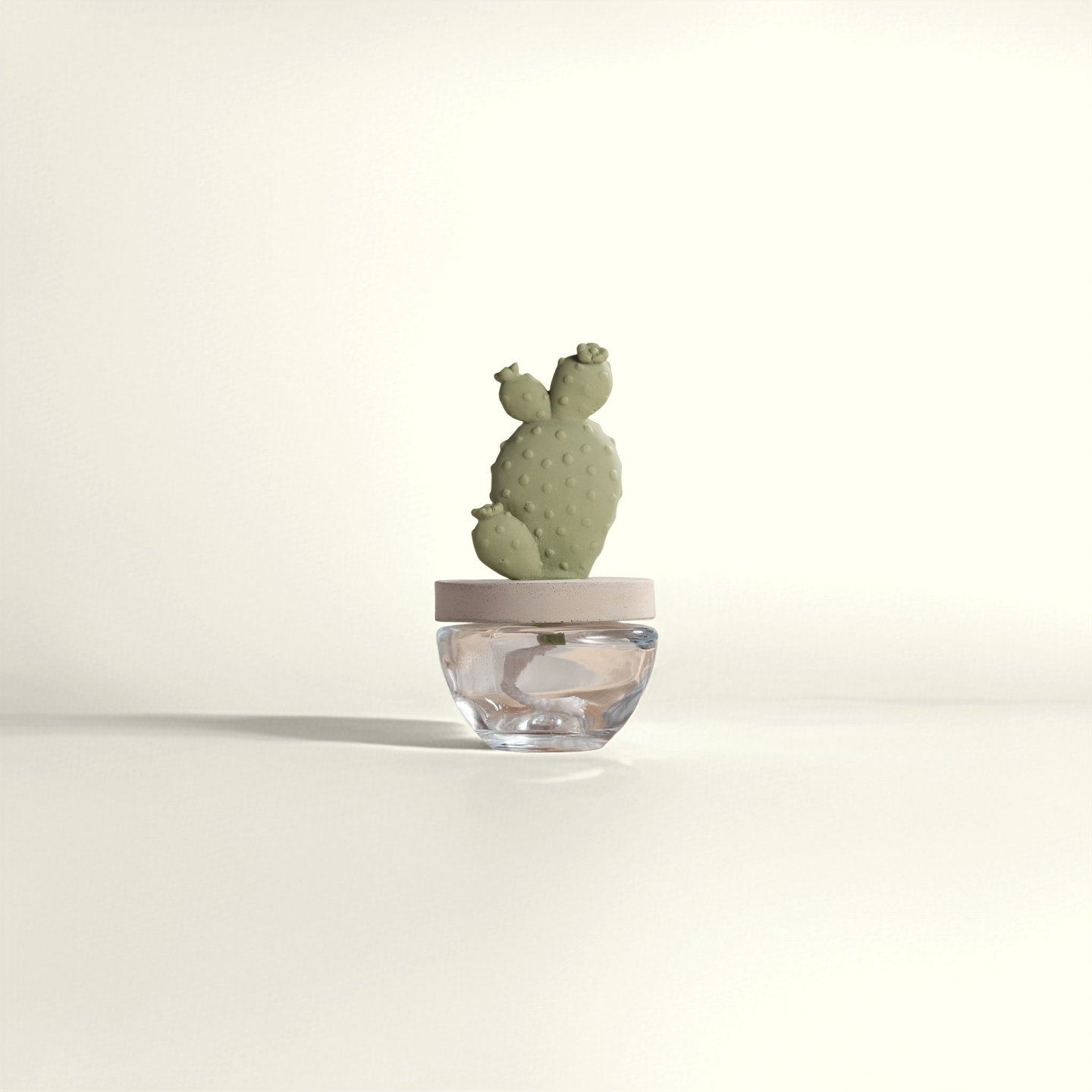 Cactus Ceramic Diffuser Gift Set - 100ml/3.38fl oz for Decor