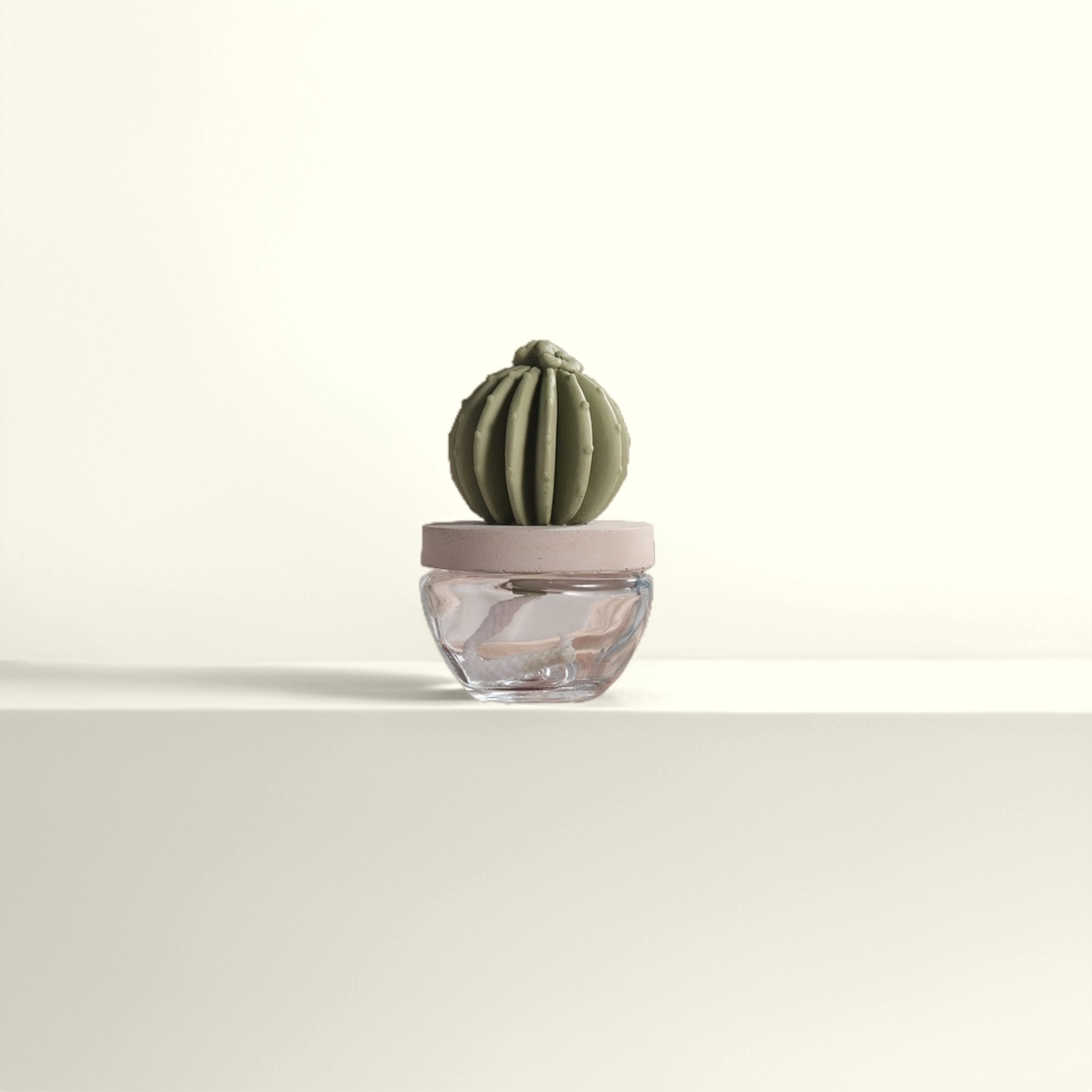 Cactus Ceramic Diffuser Gift Set - 100ml/3.38fl oz for Decor