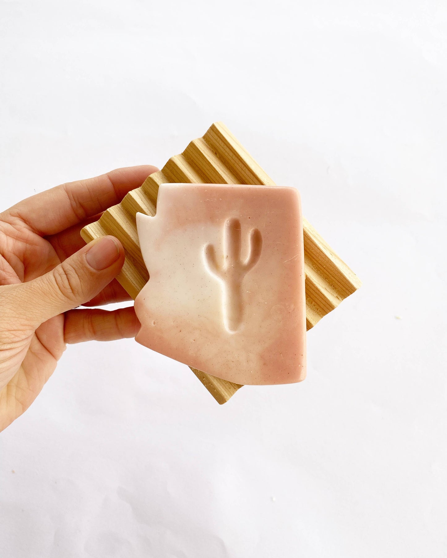 Arizona Cactus Flower