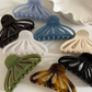 Glossy Shell Shape Claw Clips (CUHO)