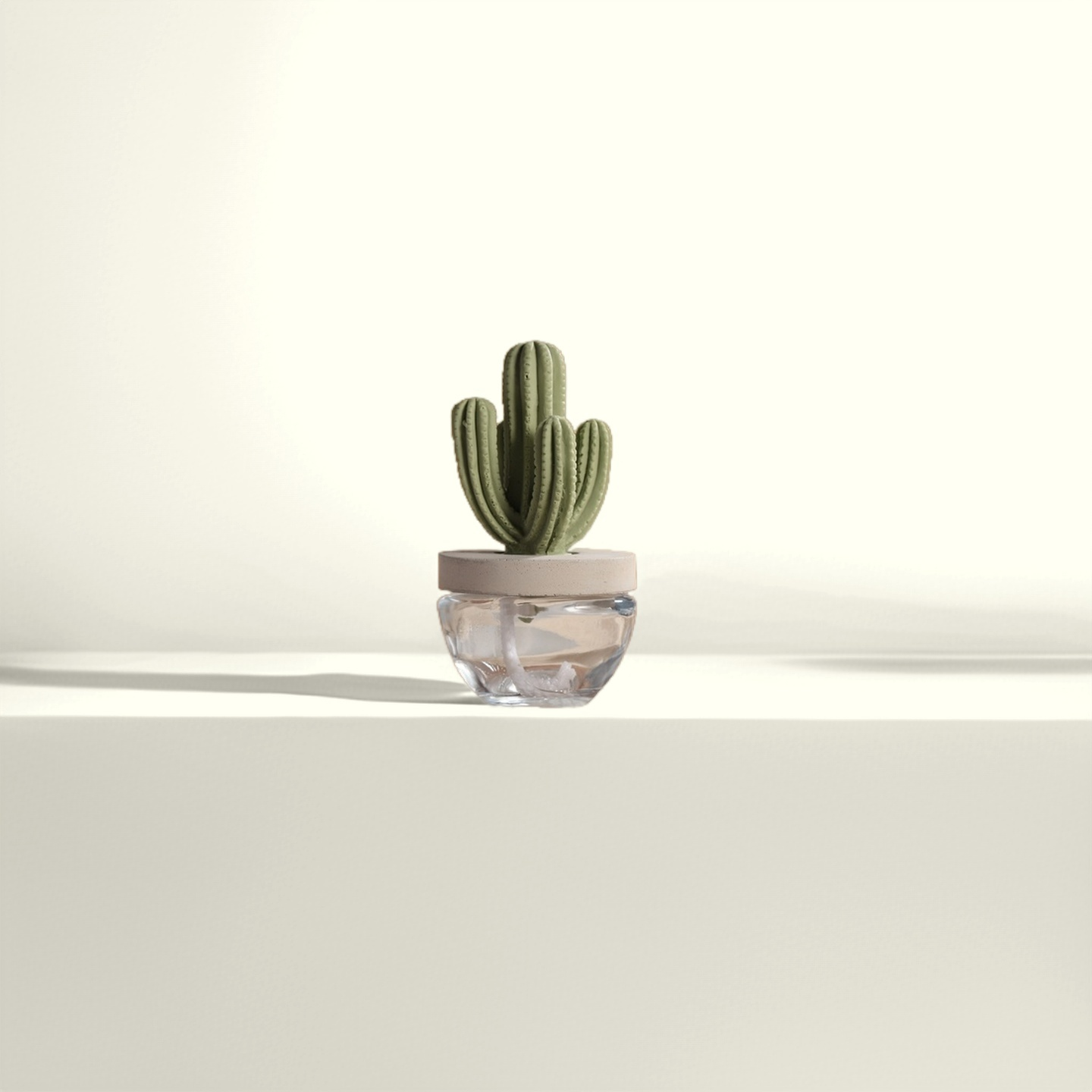 Cactus Ceramic Diffuser Gift Set - 100ml/3.38fl oz for Decor