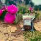 Cactus Rice Krispy Treat