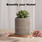 Succulent in Planter Diffuser Gift Set - Citrus Verbena