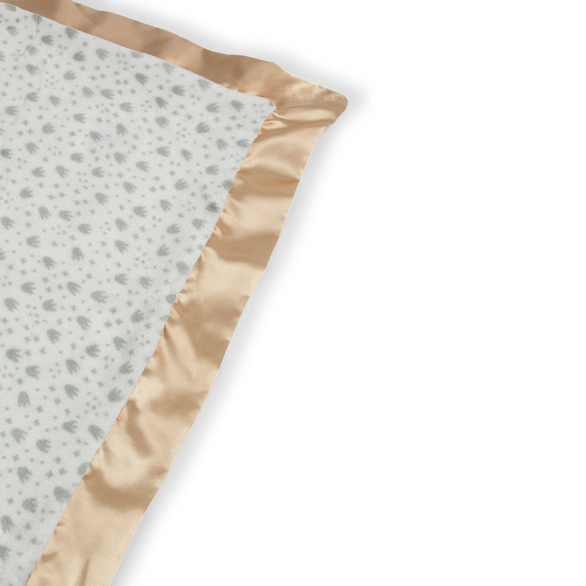 Reversible Baby Blanket Roarsome