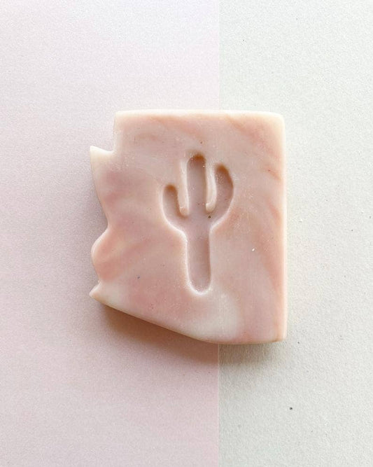 Arizona Cactus Flower