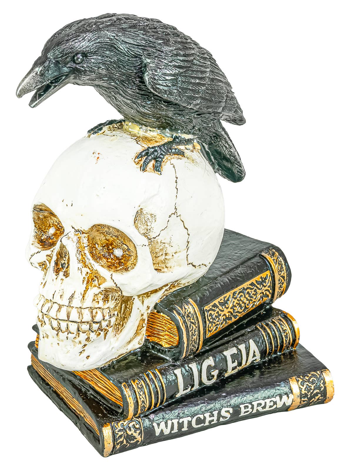 Skull Spellbooks Halloween Raven Perch