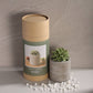 Succulent in Planter Diffuser Gift Set for Home Decor