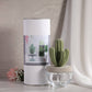 Cactus Ceramic+200ml/6.76FL OZ Refill Oil (CAC+WM)-Gift Set