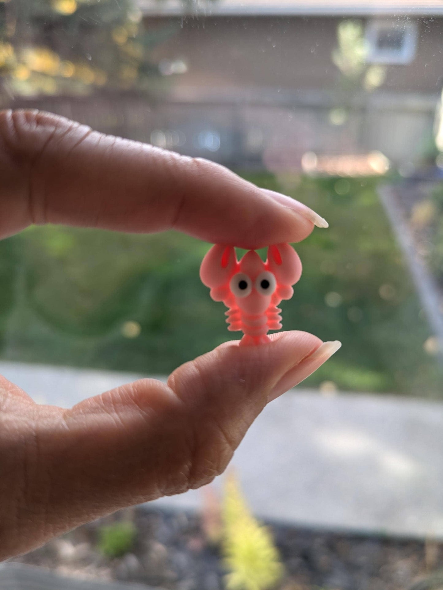Lobster Appreciation Love & Motivation Card