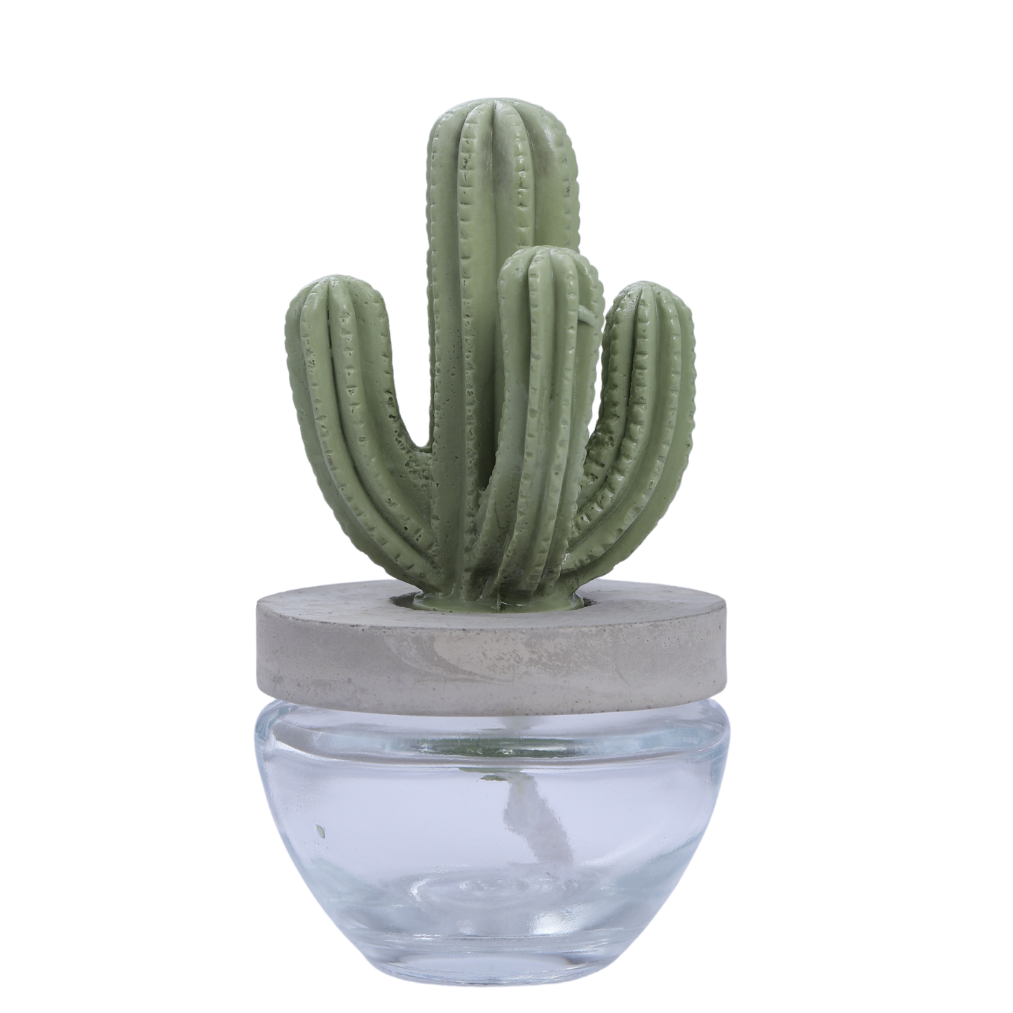 Cactus Ceramic+200ml/6.76FL OZ Refill Oil (CAC+WM)-Gift Set