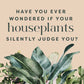 Houseplants and Their Fucked-Up Thoughts by Carlyle Christoff