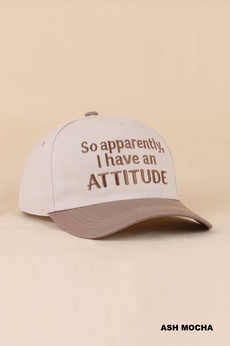 Two Tone Snapback Hat