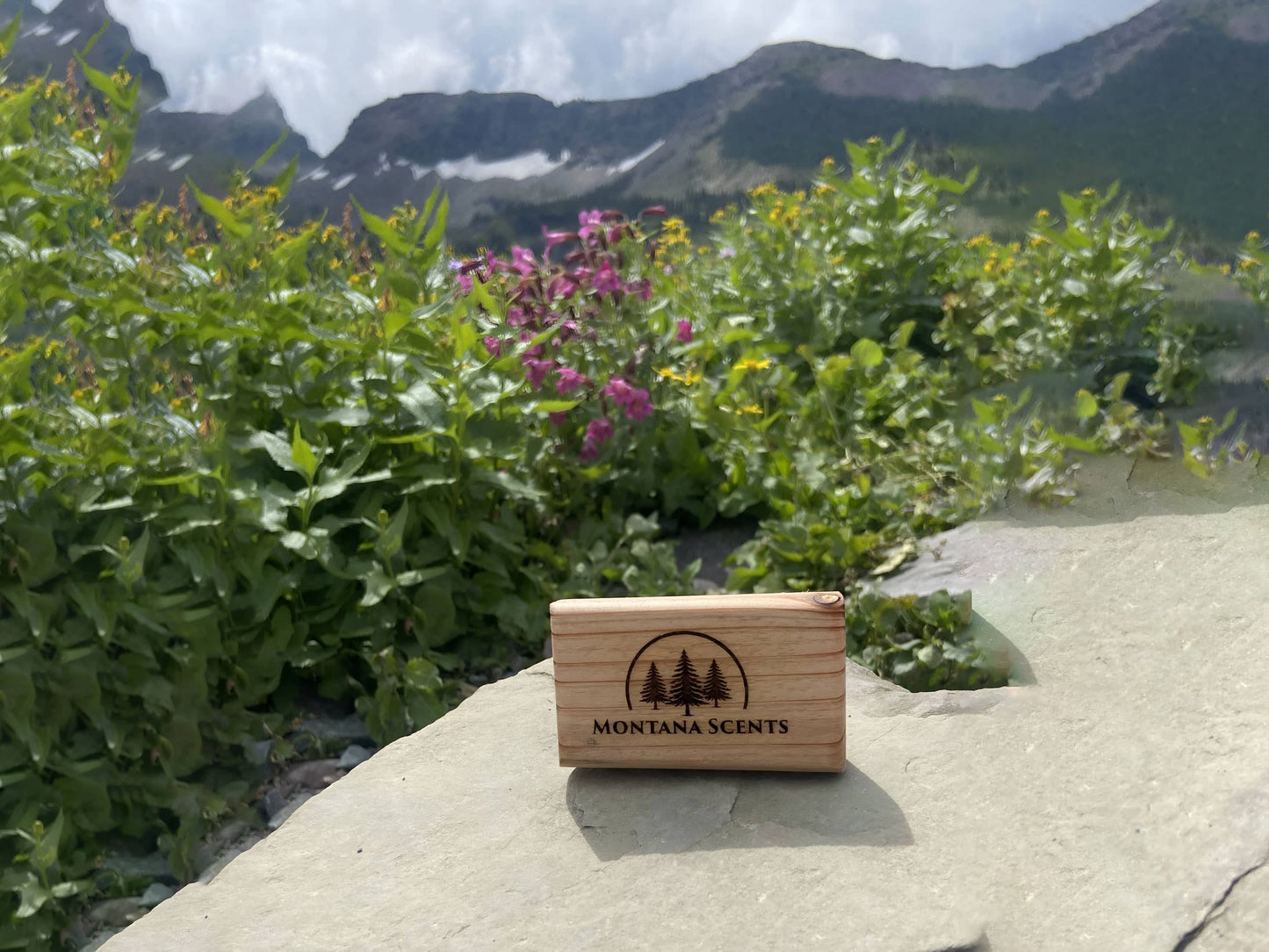 Montana Mountain Rain Car Air Freshener 60-Day Fresh Scent