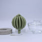Cactus - Barrel Cactus ceramic diffuser gift set - 100ml