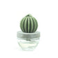 Cactus - Barrel Cactus ceramic diffuser gift set - 100ml