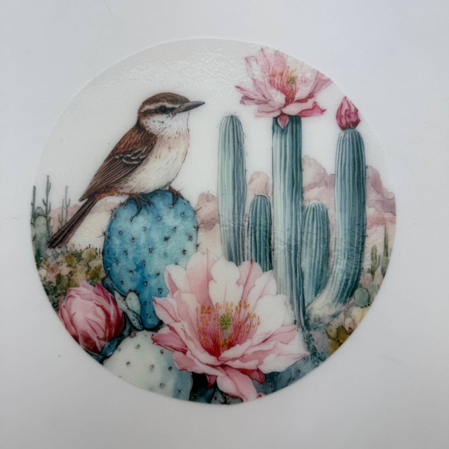 Arizona Bird & Flower