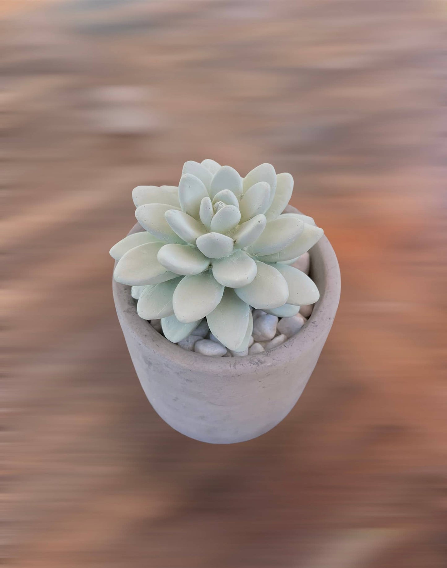 Succulent in Planter Diffuser Gift Set - Citrus Verbena