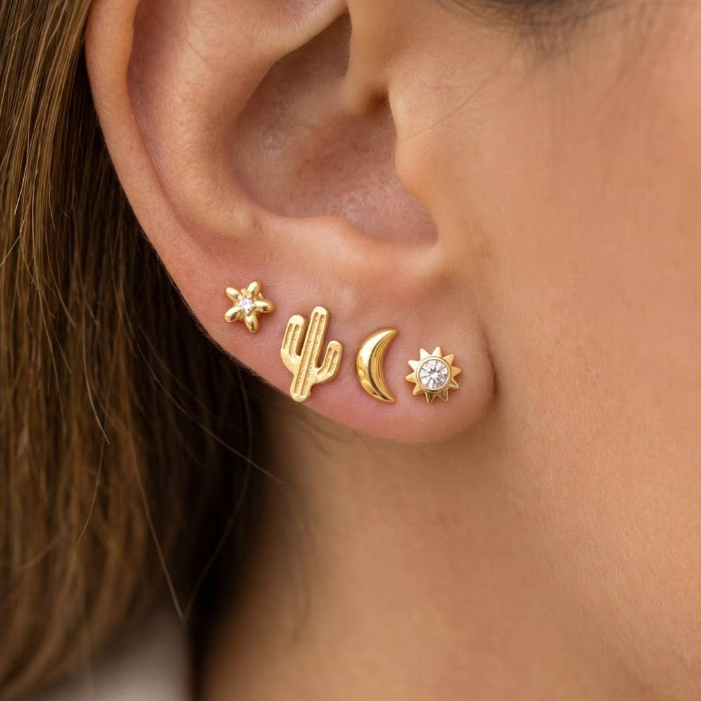 Mini Cactus Flower Stud Earrings Set