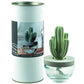 Cactus Ceramic Diffuser Gift Set - 100ml/3.38fl oz for Decor