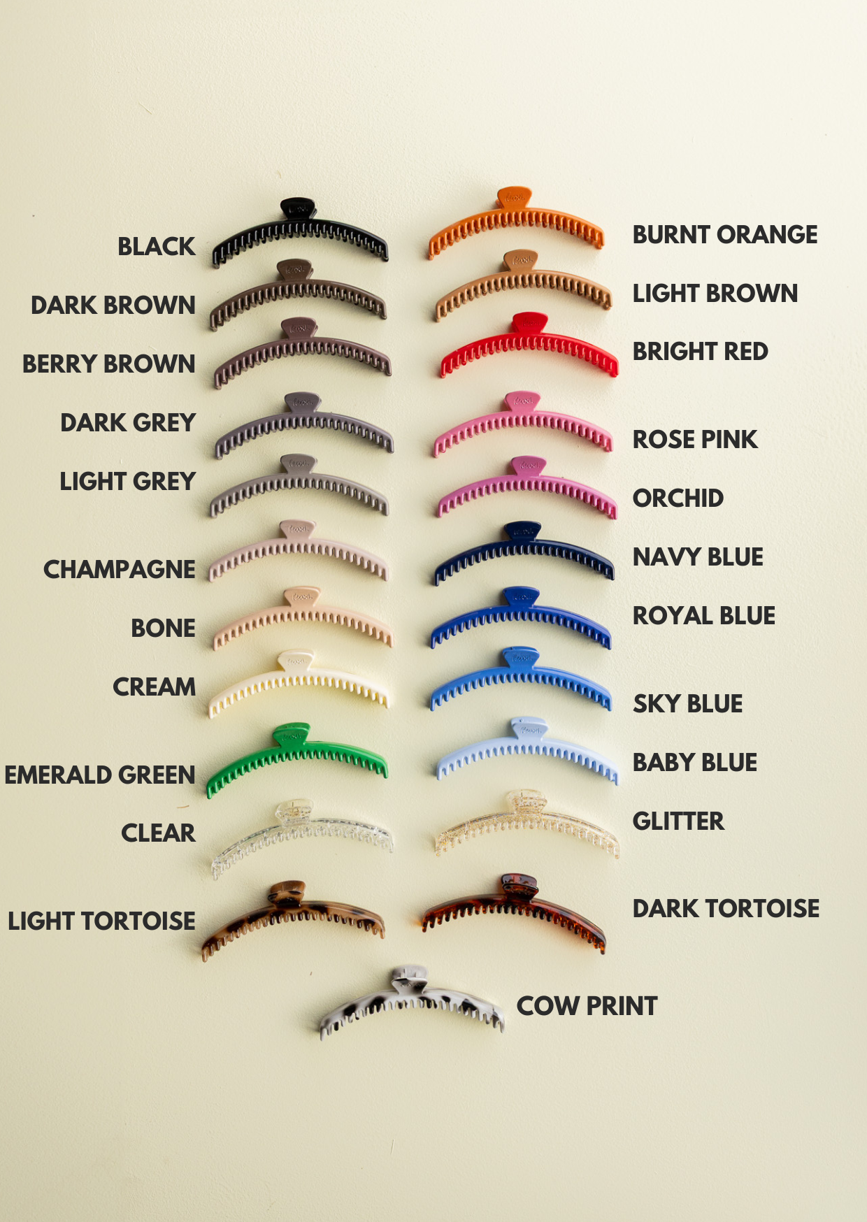 SHINY ORIGINAL HOLD EVERYTHING CLAW ( 22  COLORS)