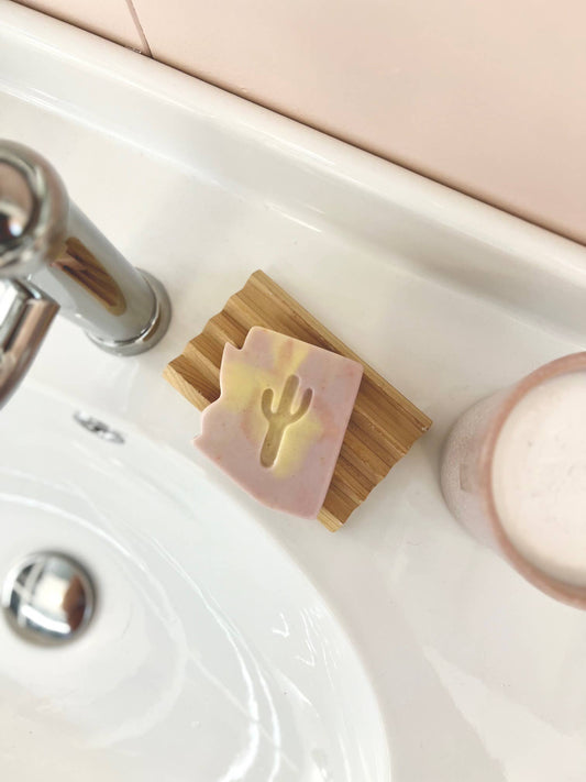 Arizona Prickly Pear Sorbet