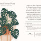 Houseplants and Their Fucked-Up Thoughts by Carlyle Christoff
