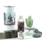 Cactus Ceramic+200ml/6.76FL OZ Refill Oil (CG+VP)-Gift Set